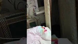 коротко о том как я разговариваю с Алисой
