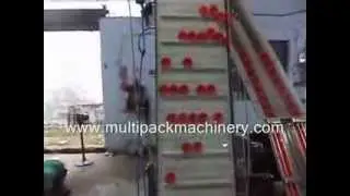 Wad Inserting machine with Cap feeder elevator, MMC Cap lining machine