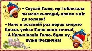 Дуже Сподобалась Кульмінація! #гумор #анекдот #українськіанекдоти #сміхдосліз #приколи #YouTubeUA