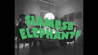siamese elephants - discoth&egrave;que [official lyric video]