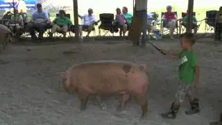 Crawford County Fair