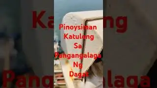kapaligiran #cover #memes #music #simanis #humor