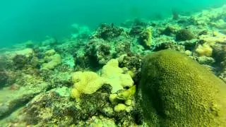 Lauderdale-by-the-Sea, Datura Ave Shore Dive