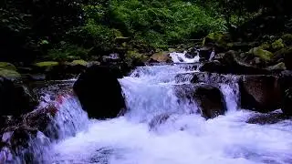 Mountain River Flowing Water Sounds for Undisturbed Deep Sleep All Night Long