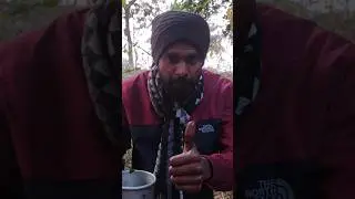 Taking natural soup #survival #bushcraft #outdoors #forest