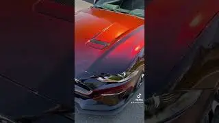 Black Opalus Ford Mustang 🤩 #car #wrap #carwrapping #wrapping #carwrap #colorchange  #bcsignature