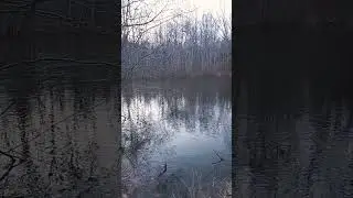 flash freeze in southern va