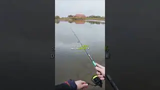 Faulenzermethode beim Zanderangeln 🎣