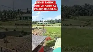 pengiriman minyak#tronton#muatan#vlog#