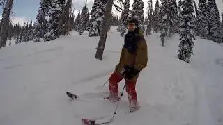 Tree Skiing in Revelstoke