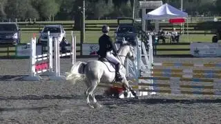 Clark Montgomery & Engapore OP SJ