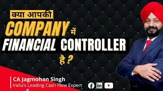 Do you have a Financial Controller in your Company ?