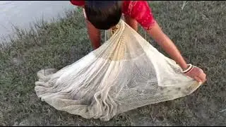 इतना सारा मछली || River Prawn Fishing || Hand Net Fishing In River 