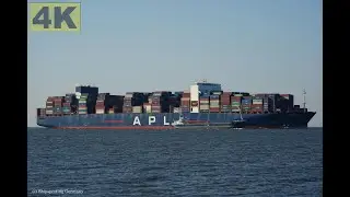 APL CHANGI - Shipspotting Germany 🇩🇪 IMO 9631981 - River Elbe near City Otterndorf - 4K VIDEO