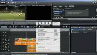 Video Pro X MultiCam (English)