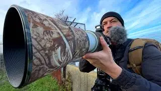 Объектив Canon RF 200-800mm для съемки птиц в полете. Насколько он функционален?