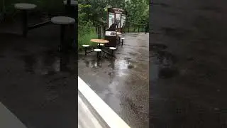 Rain at the zoo. #work #zoo #chyennemountainzoo #cmz #rain