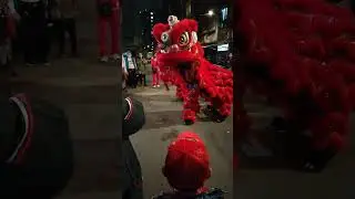 舞龍舞獅 #2023 #廟會 #廟會攝影 #舞龍舞獅