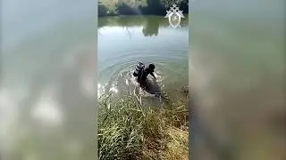 Мальчик погиб в водоеме из-за недосмотра родителя