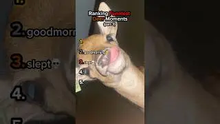 Ranking Funny Deer Moments😂(pt.3)