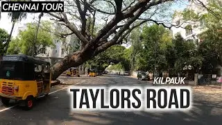 Chennai 4K | Taylors Road | Kilpauk | City Tour