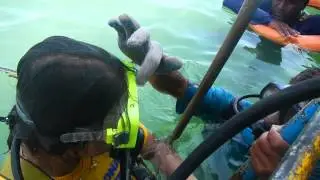 Scuba Diving Training Session