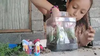 Making my terrarium|Jenny Ruth