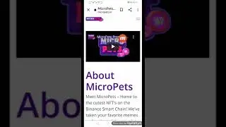 NEW TOKEN PROJECT MICRO PETS FULL TOKEN REVIEW 500X 2021 PROJECT