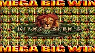 **MEGA BONUS!!!** LIONS! LIONS! LIONS! King of Africa WMS Slot Machine