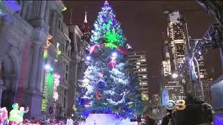 City Hall's Holiday Tree Glows Bright With 2,000 Lights