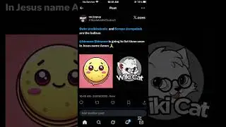 See what a comedian said about Wikicat and crepe coin 🙄🙄🙄🙄🙄 #wikicat #crepe #trending #crypto