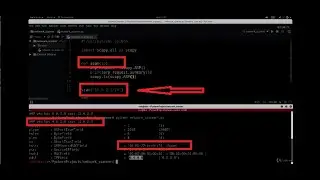 Kali Linux + PythonОбъединяем фреймы в широковещательные пакеты