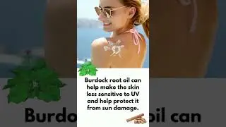Secret Ayurverdic Herb For Growth | Burdock Root (Gobo) Benefits For Hair #shorts