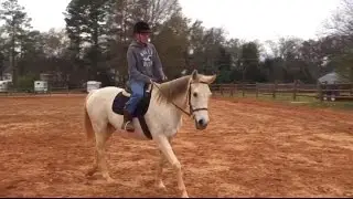 My Boyfriend Rides My Horse!!