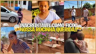 O que ESTÁ ACONTECENDO com a ROCINHA QUERIDA,ESTÁ ABANDONADA⁉️TUDO que VOCÊS PRECISAM SABER‼️