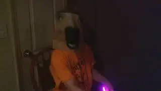 Wet Dog And The Suicidal Dweebs having a gay ol' time