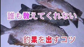 釣果が変わる仕掛け　カーエー釣り　vol.11 前編