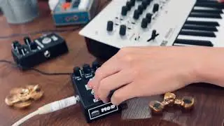 ZCAT / Big Reverb TI (Variable Clock Mod)  w/ synthesizer