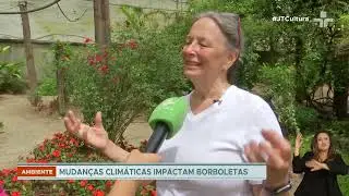 Mudanças climáticas aumentam vulnerabilidade de borboletas a infecções