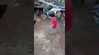 Bricando com os c&oacute;c&oacute;s parte 3