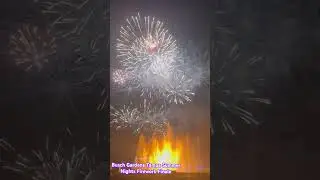 Gotta love a firework bonanza! #fireworks #florida #shorts #tampa #buschgardens #travelvlog
