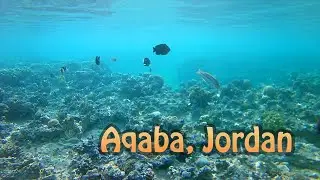 Красное море в январе | Акаба, Иордания