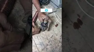 original vs rewinded dc motor | short