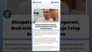 Dicopot dari Menteri Koperasi, Budi Arie Tegaskan Projo Tetap Dukung Prabowo