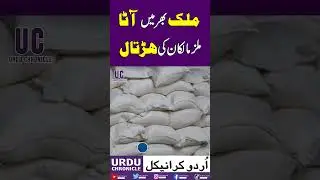The Strike of Flour Mill Owners Across the Country | Shortage of Flour | #short #shortsfeed #strike