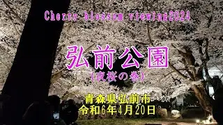 【2024桜めぐり】弘前公園　夜桜の巻　こんな人出、今まで見たことがありません【青森県弘前市】2024.04.20