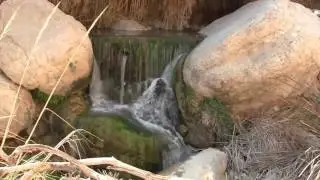 King David and Saul in the cave of EN GEDI - Hebraic Roots teaching by Messianic Rabbi Zev Porat