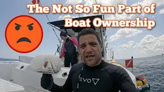 Brownie's Sea Lion Diving System: Tankless & Battery-Powered. Our First Dive Unveils Shocking Find!