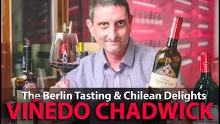 Берлинская дегустация и чилийские деликатесы | Обзор вин Vi&ntilde;edo Chadwick