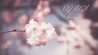 Dj Hush - Imagine (Official audio) | EDM |